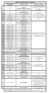RISORSE E ORGANIZZAZIONE DEL SERVIZIO